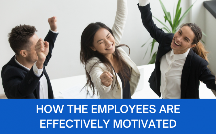  How the Employees are Effectively Motivated at NewAgeSys