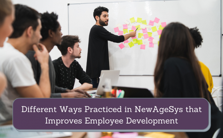  Different Ways Practiced in NewAgeSys that Improves Employee Development