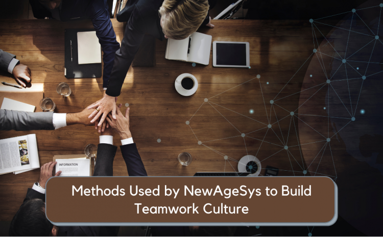  Methods Used by NewAgeSys to Build Teamwork Culture