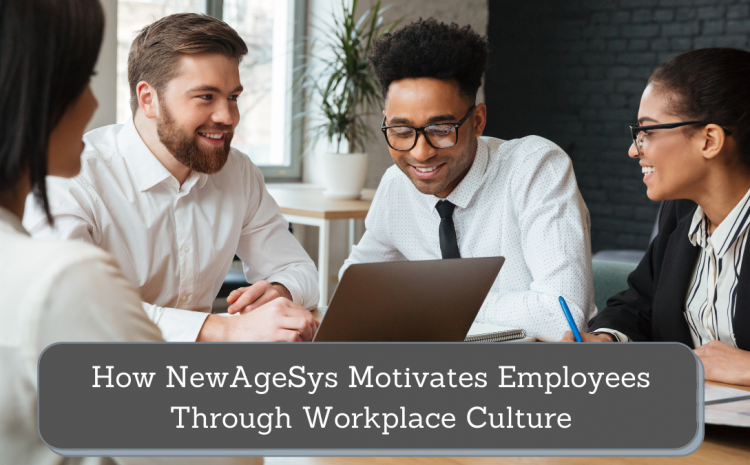  How NewAgeSys Motivates Employees Through Workplace Culture