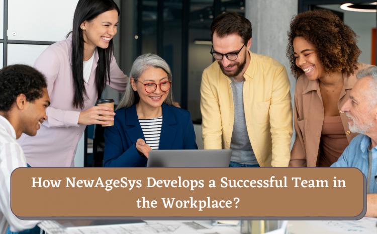  How NewAgeSys Develops a Successful Team in the Workplace?
