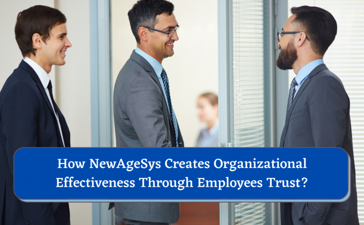  How NewAgeSys Creates Organizational Effectiveness Through Employees Trust?