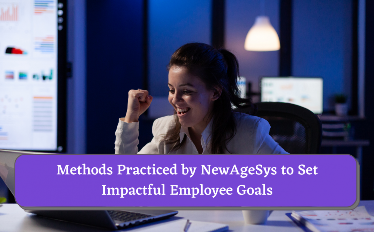  Methods Practiced by NewAgeSys to Set Impactful Employee Goals