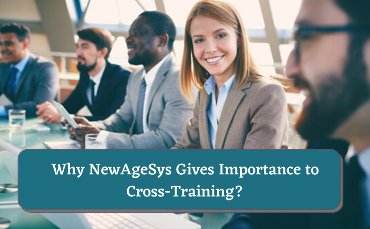  Why NewAgeSys Gives Importance to Cross-Training?